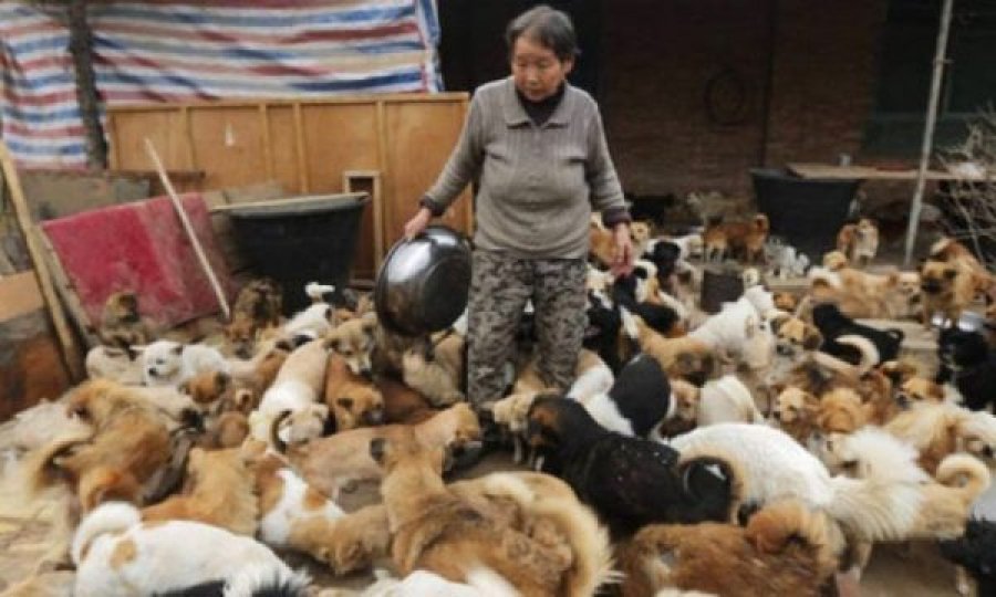 Kjo grua jeton me 1.300 qen, 100 mace dhe 4 kuaj