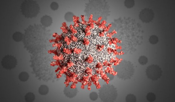 Sot më shumë të shëruar se të infektuar me koronavirus