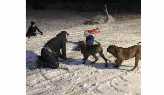 “Detyrat e shtëpisë”, kështu argëtohet me fëmijët Bekë Berisha