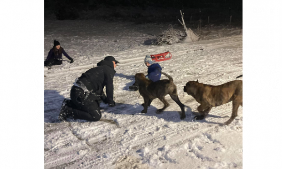 “Detyrat e shtëpisë”, kështu argëtohet me fëmijët Bekë Berisha