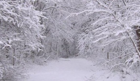 Ky vend në “luftë” me borën: Ditët e ardhshme pritet ulje ekstreme e temperaturave