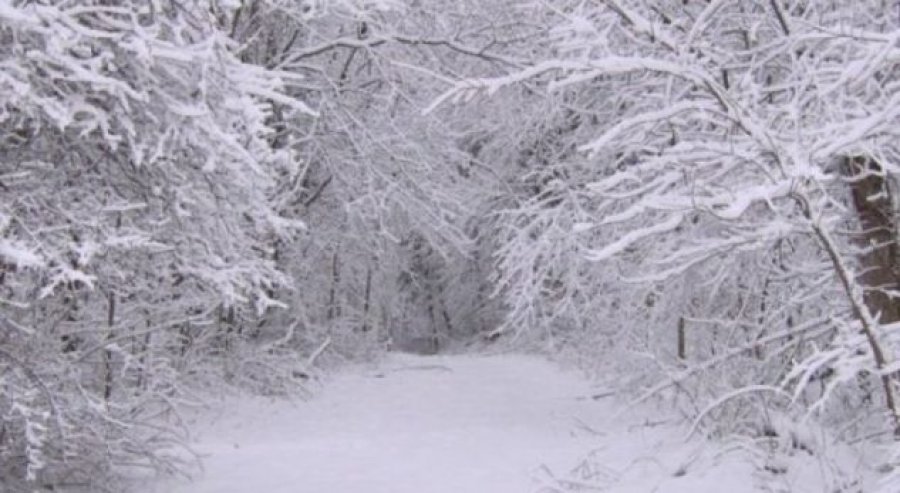 Ky vend në “luftë” me borën: Ditët e ardhshme pritet ulje ekstreme e temperaturave