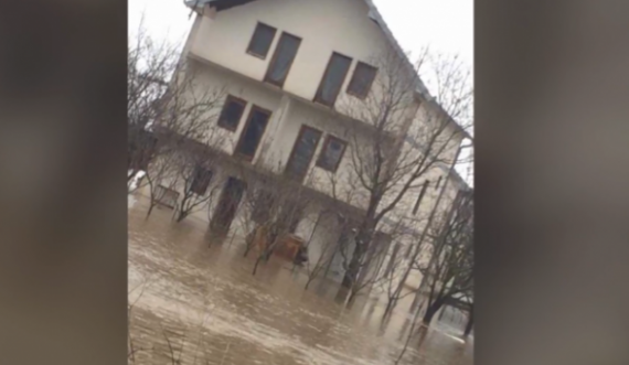 Drenasi ende në ujë, dëme të mëdha nga reshjet