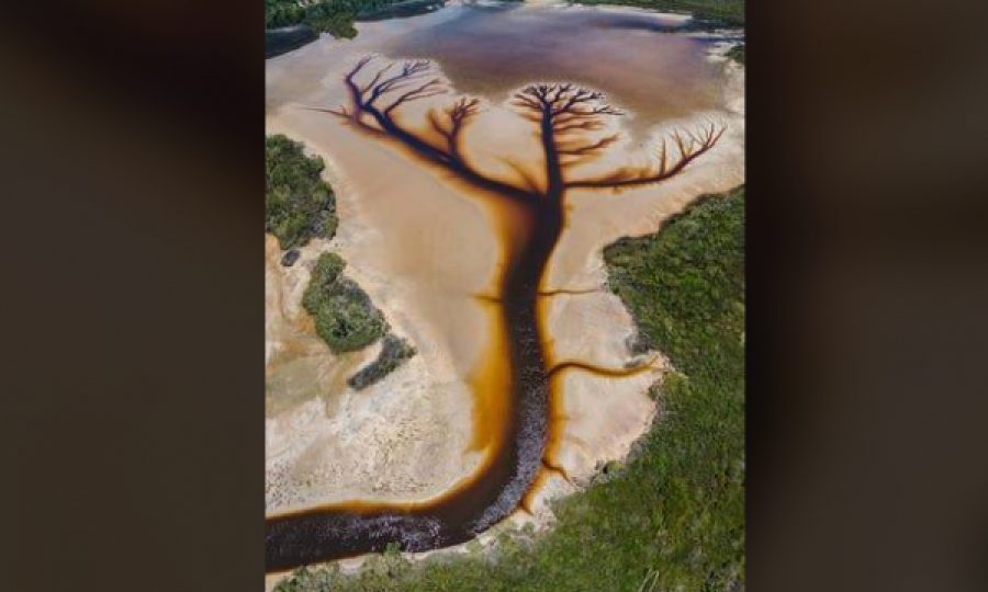 Fotografi zbulon një liqen që i përngjan pemës 