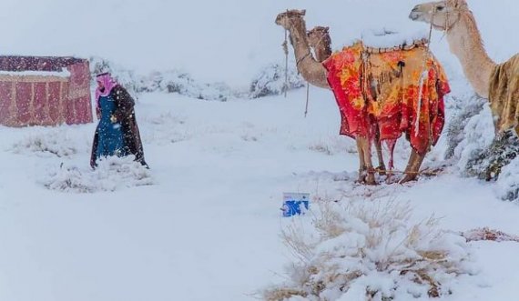 Borë në shkretëtirë, temperaturat në Arabinë Saudite zbresin deri në -2 gradë Celsius
