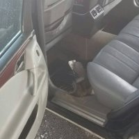 Para falso të metalta nga Maqedonia, Policia i bie në gjurmë dy të dyshuarve