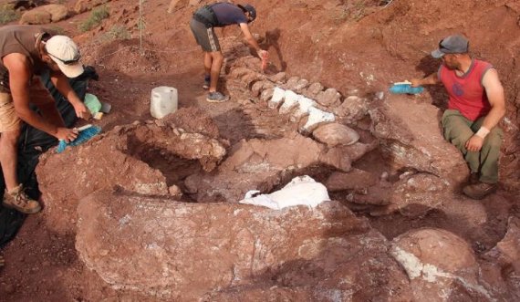 Zbulohen fosilet e një dinozauri gjigand