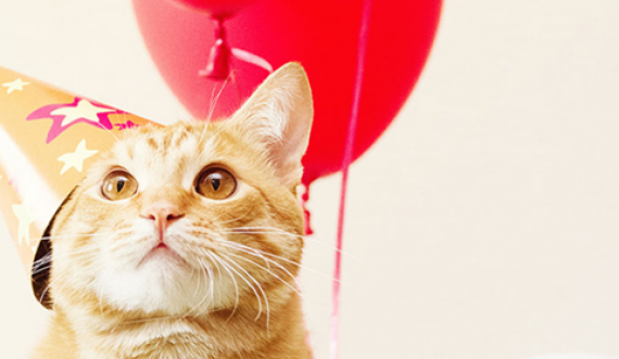 Ia festuan ditëlindjen maces, dhjetëra persona infektohen me koronavirus