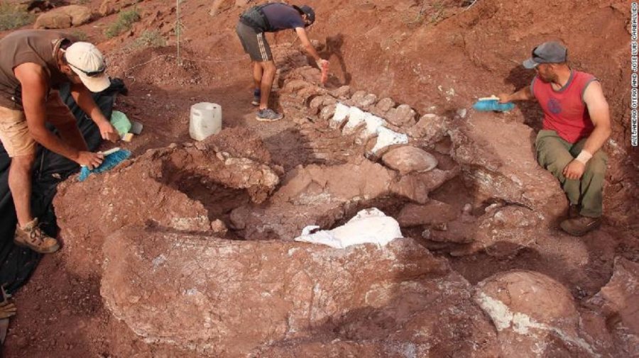 Zbulohen fosilet e një dinozauri gjigand