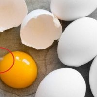 Çka është kjo njollë e bardhë në vezë? Do të habiteni kur ta kuptoni