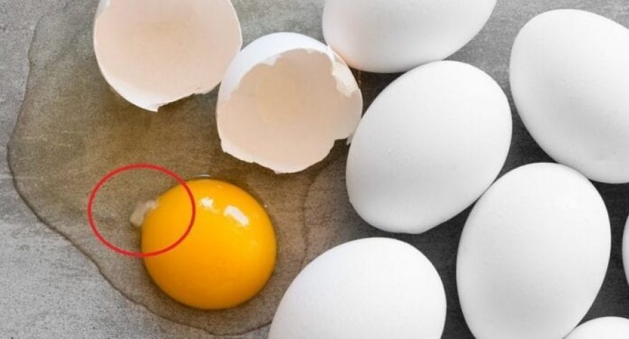 Çka është kjo njollë e bardhë në vezë? Do të habiteni kur ta kuptoni