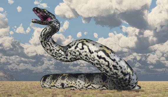 Fosilet e Titanoboas, tregojnë se ai ishte gjarpri më i madh në botë