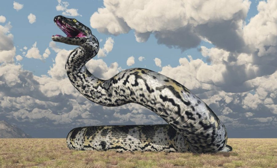 Fosilet e Titanoboas, tregojnë se ai ishte gjarpri më i madh në botë