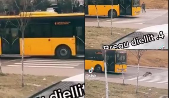 Kamerë e fshehur në Breg të Diellit, qytetari i del para autobusit dhe bën pompa