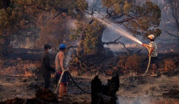 I nxehti kthen zjarret në Kaliforni, rrezikohen plantacionet me kanabis