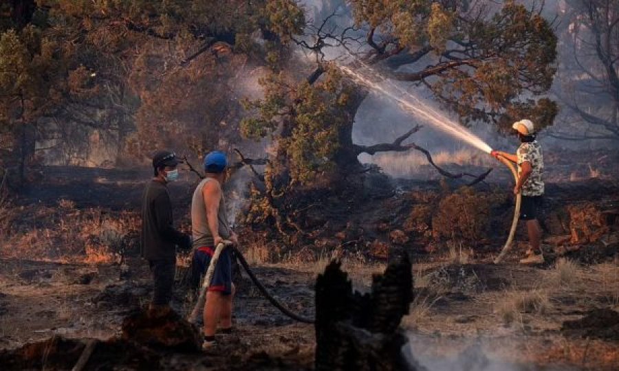 I nxehti kthen zjarret në Kaliforni, rrezikohen plantacionet me kanabis
