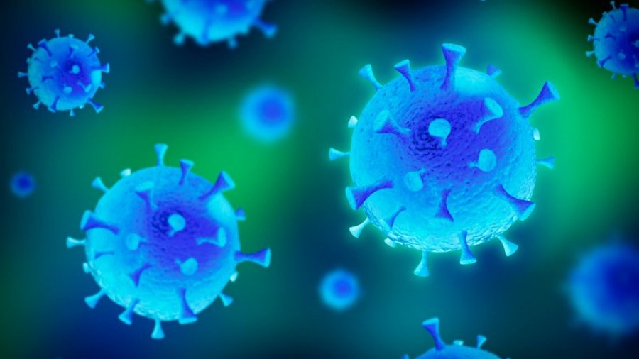 Ky shtet kaplohet nga koronavirusi, shënon rekord vdekjesh për të pestën ditë radhazi 