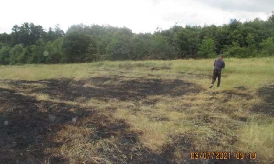 Përfshihet nga zjarri toka e mbjellë me grurë e një serbi në Viti, Policia jep detaje