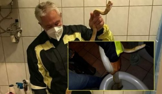 Burri kafshohet nga pitoni që i doli nga guaska e tualetit, përfundon në spital