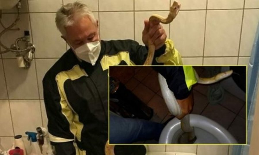 Burri kafshohet nga pitoni që i doli nga guaska e tualetit, përfundon në spital
