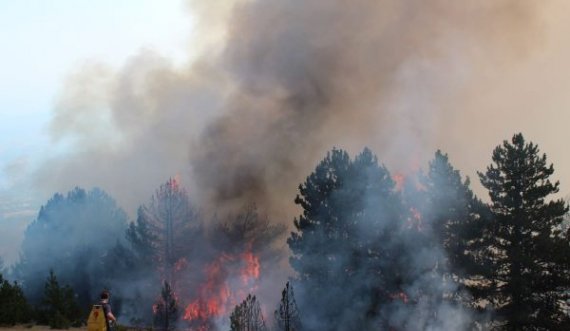 Ministria e Punëve të Brendshme apelon te qytetarët për kujdes nga zjarret