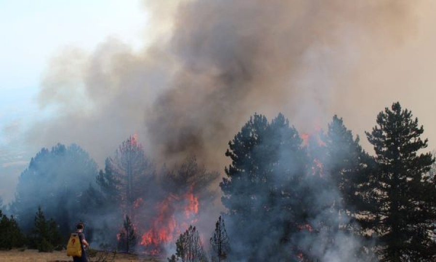 Ministria e Punëve të Brendshme apelon te qytetarët për kujdes nga zjarret