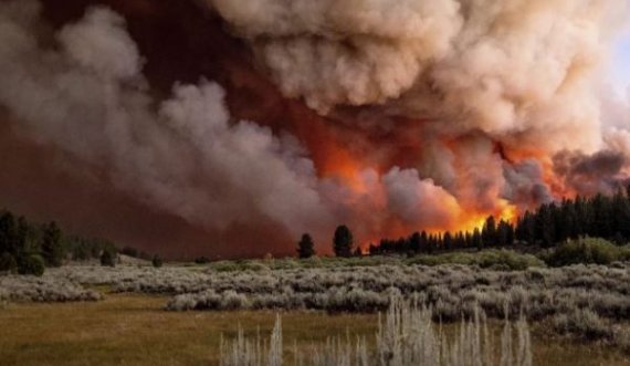 Pamje apokaliptike nga zjarret në Kaliforni