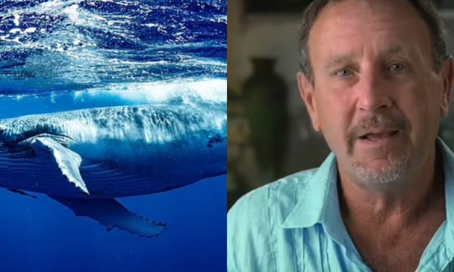 Rrëfehet peshkatari që pretendon se shpëtoi i gjallë pasi u gëlltit nga balena