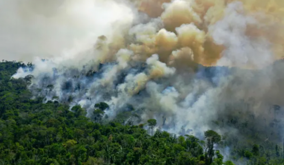 Pyjet e Amazonës tani më shumë lëshojnë dyoksid karboni sesa thithin