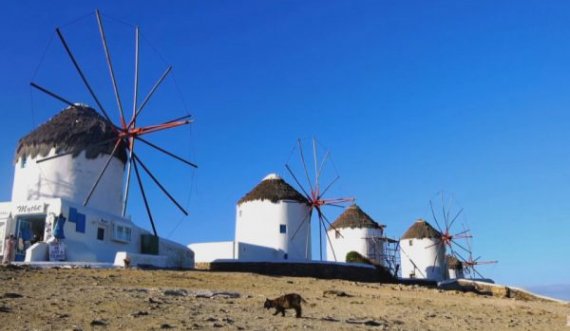 COVID-19 në Greqi, autoritetet vendosin shtetrrethim në ishullin e Mykonos