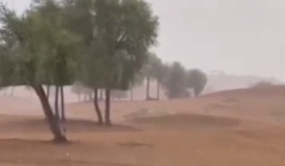  Temperatura 50 gradë celsius, Emiratet e Bashkuara Arabe e krijojnë shiun vetë 
