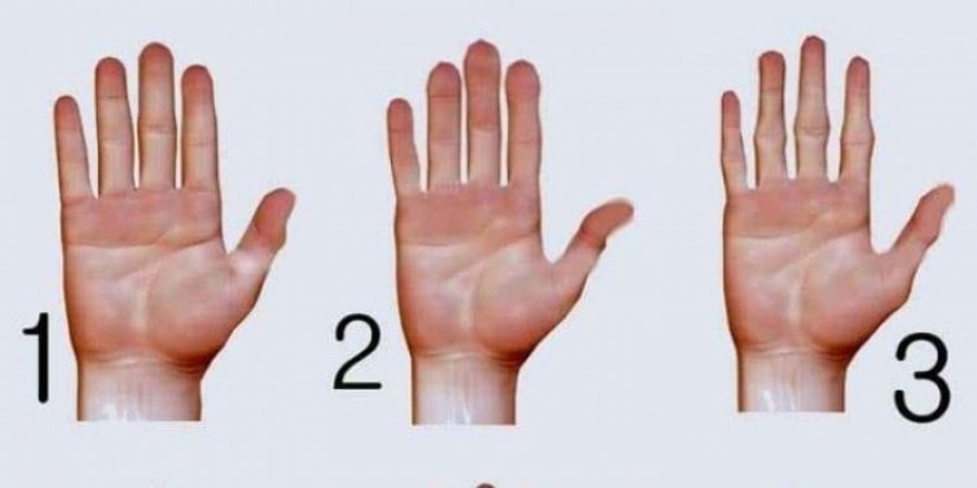 Ja se çfarë tregon forma e dorës për ju!