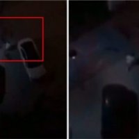 Një grumbull i qenve endacakë sulmojnë një qytetar në Prishtinë gjatë natës