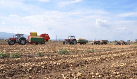 Miratohet strategjia për Bujqësi dhe Zhvillim Rural, ndahen 2.5 milionë euro për bujqit
