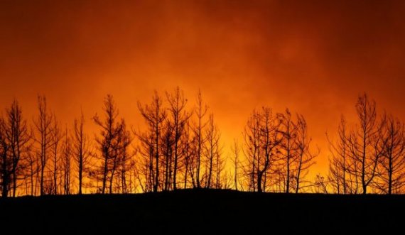 Katër të vdekur nga zjarret në Turqi, shumë fshatra u evakuuan