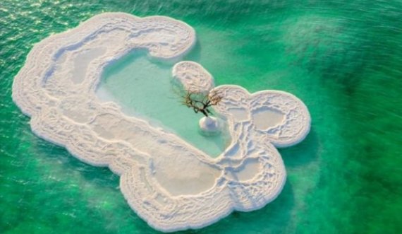 “Pema e jetës” rritet në një ishull me kripë në mes të Detit të Vdekur