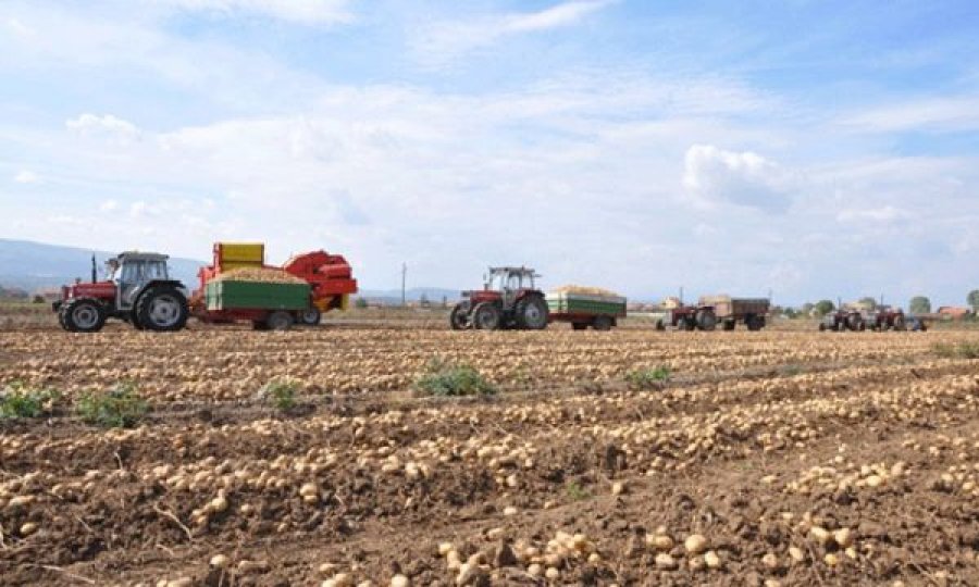 Miratohet strategjia për Bujqësi dhe Zhvillim Rural, ndahen 2.5 milionë euro për bujqit