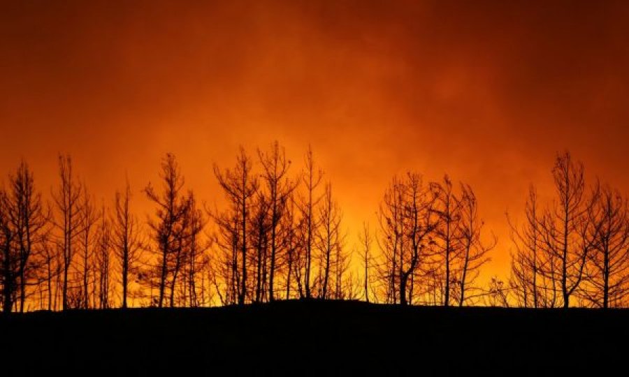 Katër të vdekur nga zjarret në Turqi, shumë fshatra u evakuuan