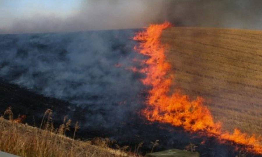 Digjen arat e mbjella me grurë në Lipjan, autoritetet thonë se shkaktar është njeriu