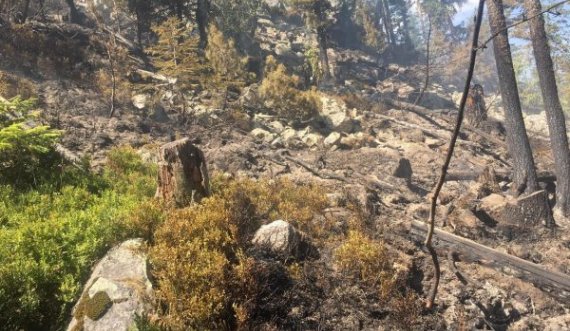  Pamje nga Rugova, ku një pjesë e malit u përfshi nga zjarri 