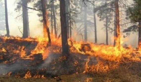  Zjarre edhe në Kosovë, një pjesë e Malit të Rugovës në flakë që dy ditë 