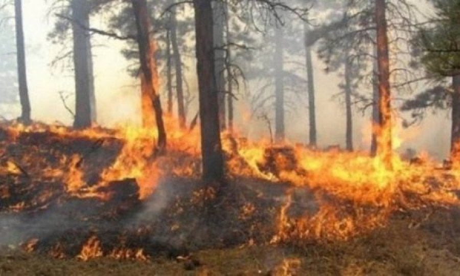  Zjarre edhe në Kosovë, një pjesë e Malit të Rugovës në flakë që dy ditë 