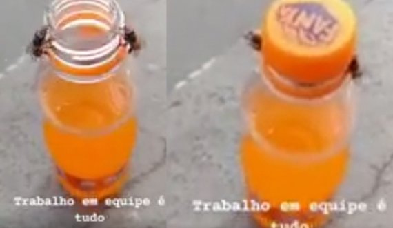 E pazakontë: 2 bletë hapin kapakun e mbyllur të ‘Fanta-s’ 