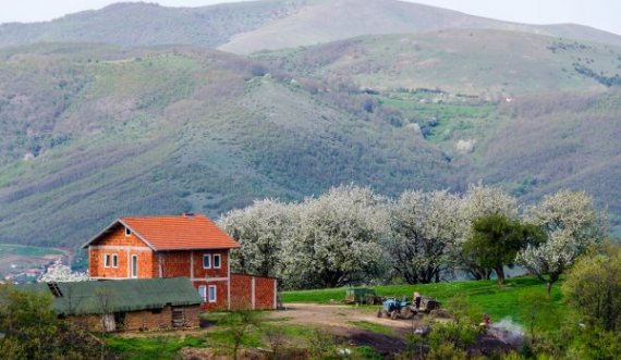  Në këtë fshat të Kosovës të gjithë banorët e kanë mbiemrin Gashi 