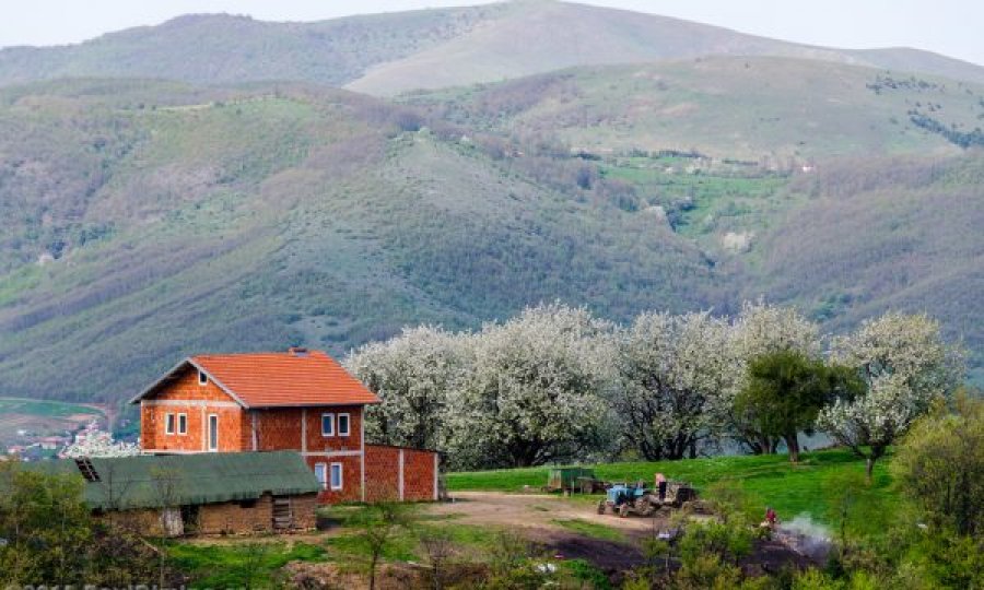  Në këtë fshat të Kosovës të gjithë banorët e kanë mbiemrin Gashi 