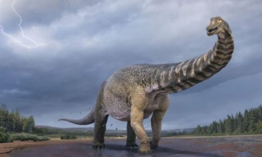  Zbulohet një nga dinozaurët më të mëdhenj në botë 
