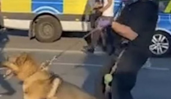Qeni kafshon pronarin polic