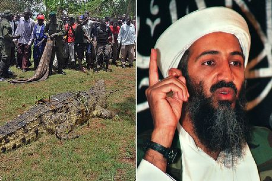  Krokodili i quajtur ‘Bin Laden’ terrorizon fshatin ku ka ngrënë dhjetra banorë 