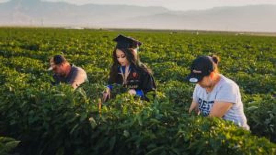  Studentja realizon fotot e diplomimit në fushën ku punojnë prindërit e saj 