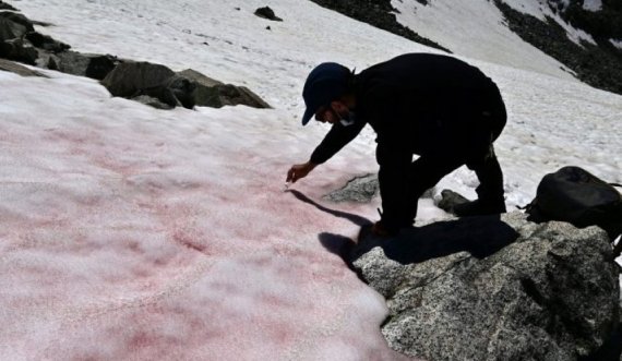 ‘Gjaku i akullnajave’/ Fenomeni i pashpjeguar që ndodh në majat e maleve 